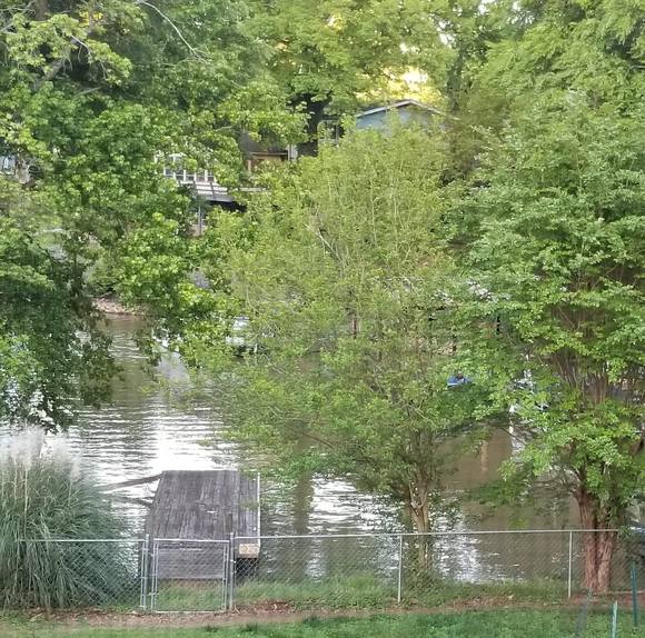 Meet your Posher, Michelle - Picture 1 of 1